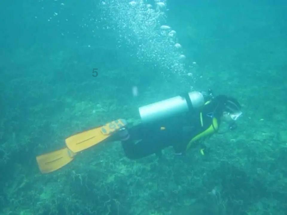 这是我的战争
