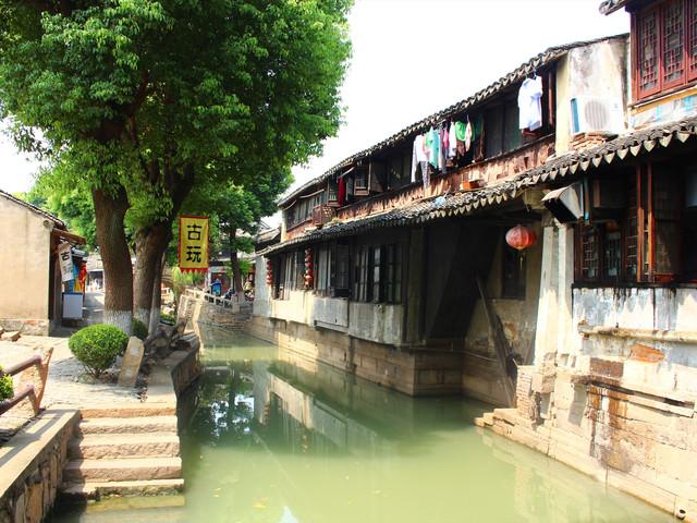 健康养生绿色补品,正宗温县垆土铁棍山药:送给父母长辈,传递关爱与健康